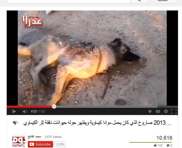 Sterbender Hund in Adra, laut Beschreibung vom "Published on Aug 5, 2013"